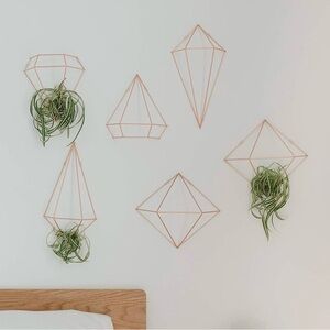 Umbra Prisma Wall Decor Set in Copper/Rose Gold